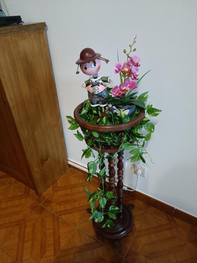 Apartamento Boca Doce ポンタ・デルガダ エクステリア 写真